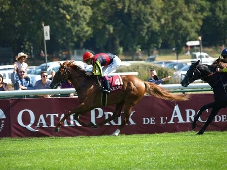 競馬】凱旋門賞へ「パーフェクト」。オルフェーヴルが前哨戦で見せた